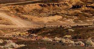 第59分钟，左路精妙配合：米雷蒂在禁区中央接球直接凌空抽射高出横梁⚪️⚫️ #萨索洛尤文 [0-1] 来源：尤文官方推特